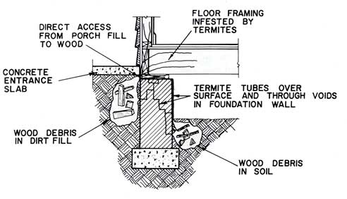 492x282 where to inspect for subterranean termites shelter or mud tubes - Termite Drawing