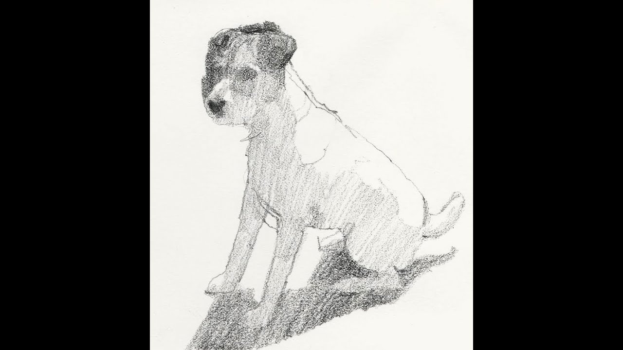 1280x720 how to draw a terrier - Terrier Drawing