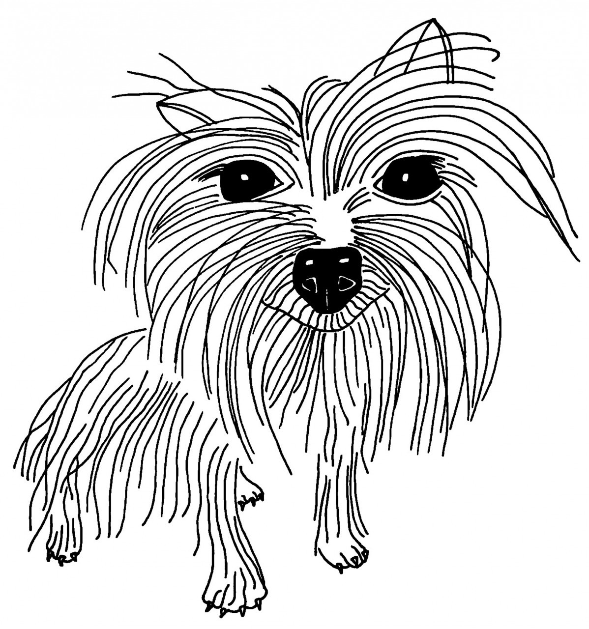 1198x1280 yorkshire terrier print from an original line drawing - Terrier Drawing