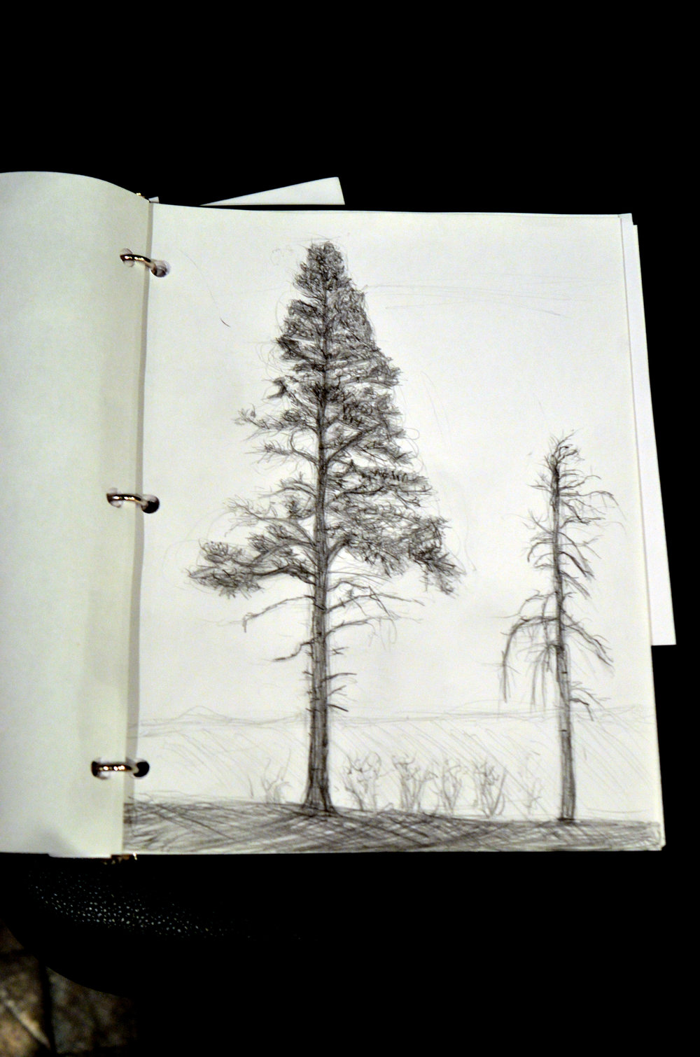 1000x1510 Drop In Drawing - Territory Drawing