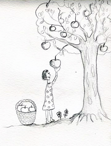 360x470 draw yourself picking an apple from a tree test - Test Drawing