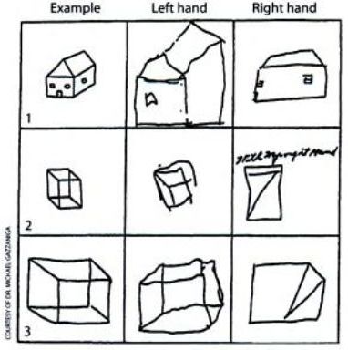 382x384 Cognitive Psychology - Test Drawing