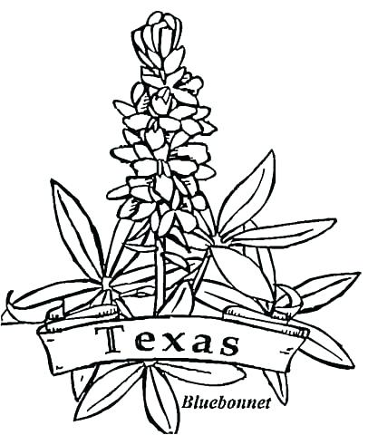 406x480 texas symbols printables symbols coloring pages state drawing - Texas Drawing