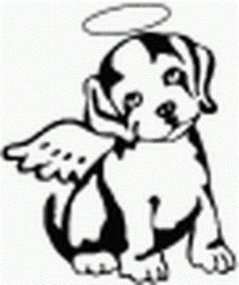 335x400 Pets For Adoption - Texas Line Drawing