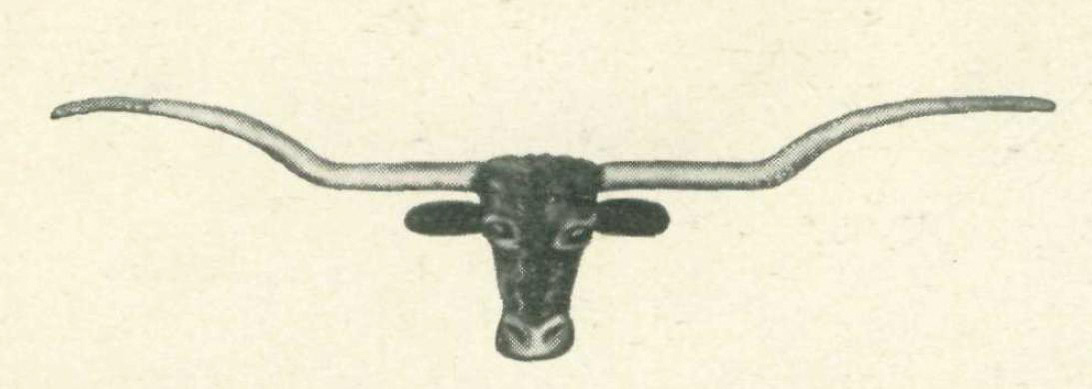 1092x389 longhorn logo turns the alcalde - Texas Longhorn Drawing