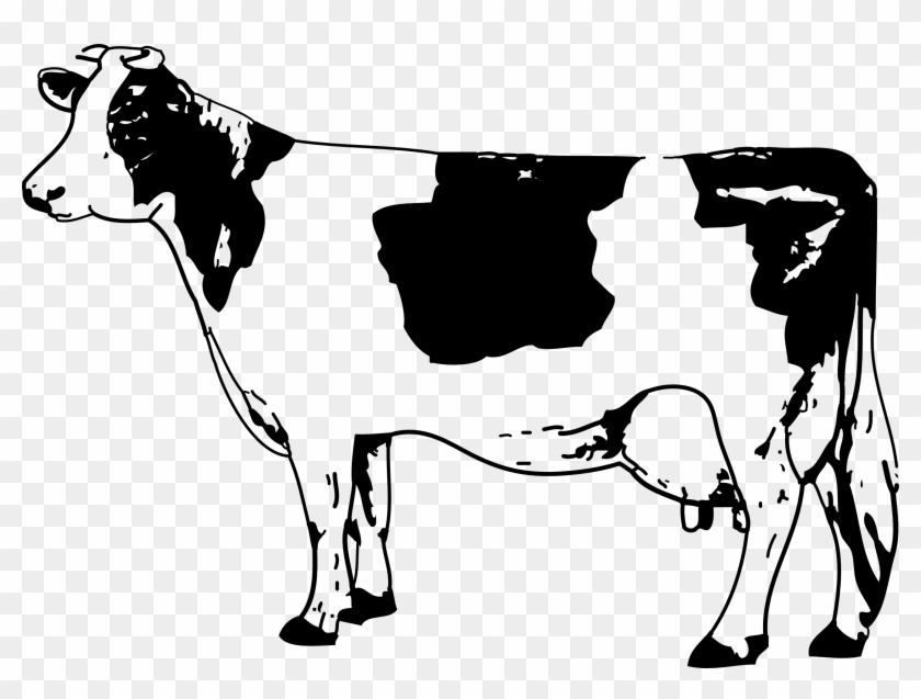 840x637 texas longhorn jersey cattle drawing clip art - Texas Longhorn Drawing