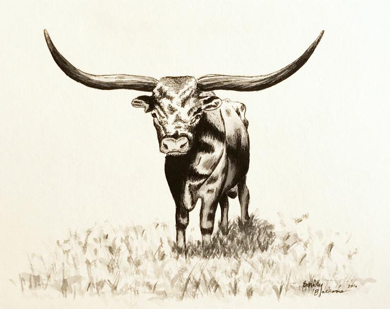 Longhorn paintings search result at PaintingValley.com