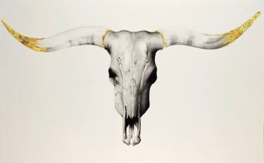 375x231 the longhorn drawing - Texas Longhorn Drawing