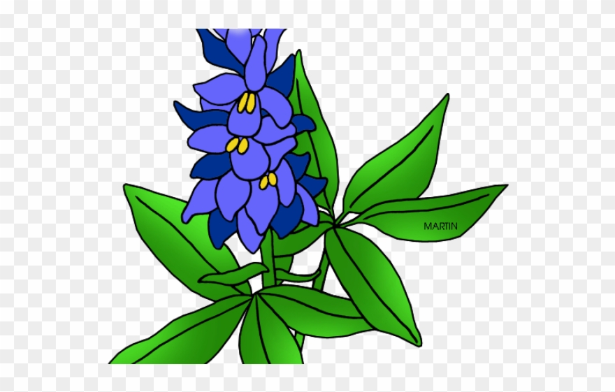 880x561 Lupine Clipart Texas Bluebonnet - Texas State Drawing