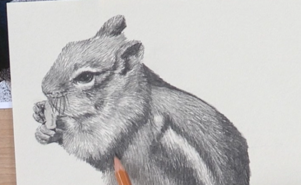 600x370 texture drawing basics with claudia nice - Texture Drawing