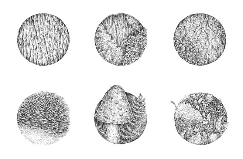 800x524 Drawing Natural Textures With Ink Liners - Texture Drawing