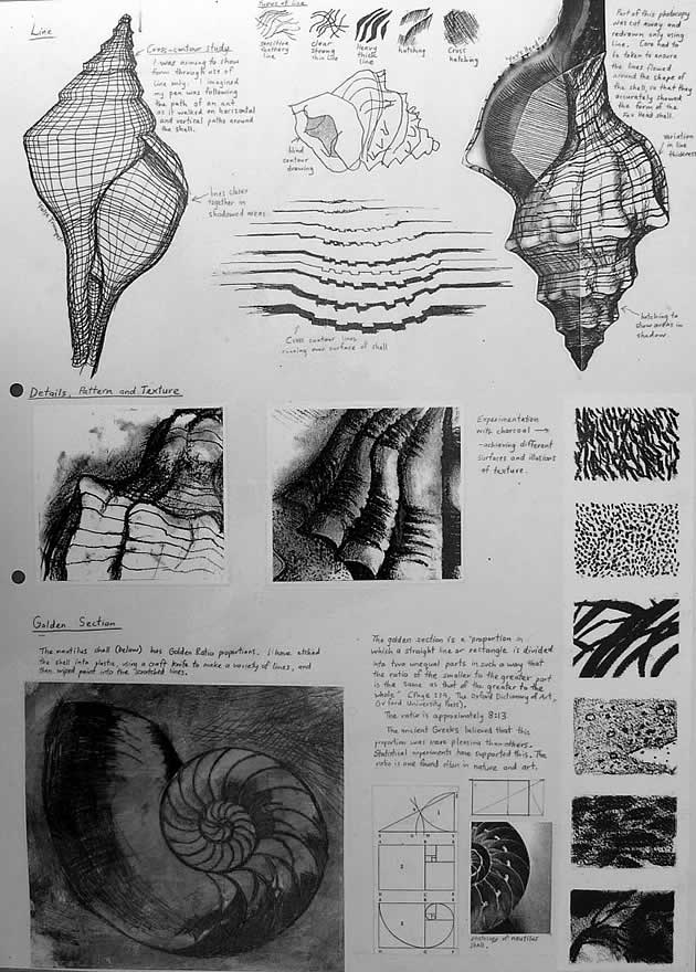 630x880 international gcse art sketchbook examples - Texture Drawing Ideas