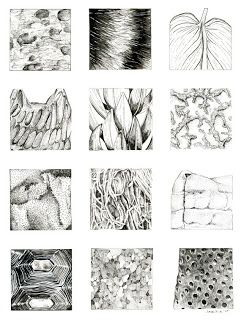 241x320 drawing stuff drawing stuff, drawing - Texture Drawing Ideas