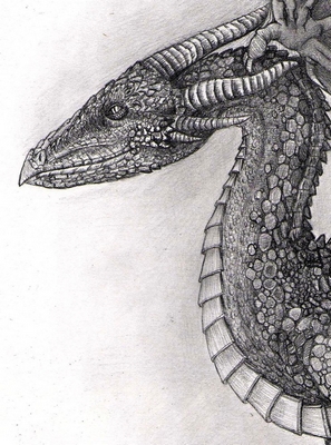 297x400 Drawing Lesson For Advanced Artists How To Draw A Dragon - Texture Drawing Images