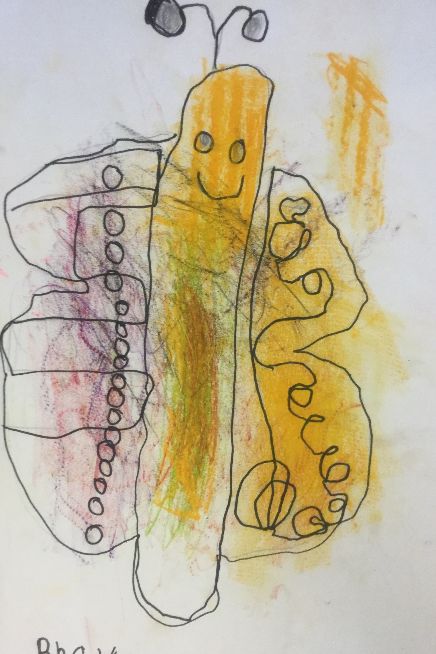 1522x2283 the smartteacher resource textured drawings of animals - Texture Drawing Images