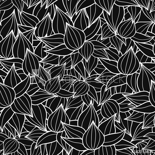 500x500 Vector Black And White Succulent Plant Texture Drawing Seamless - Texture Drawing Images