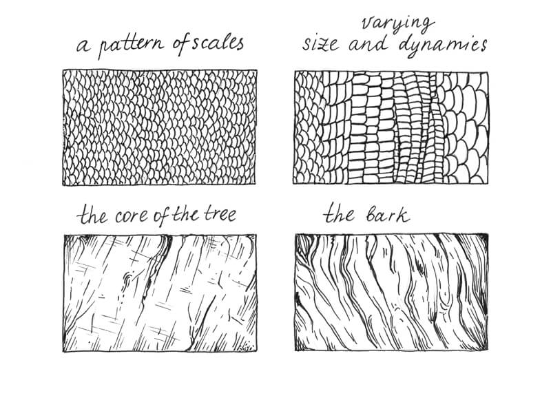 800x581 How To Draw A Lizard With Pen And Ink - Texture Line Drawing
