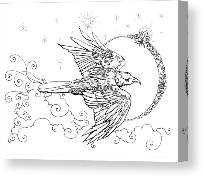 678x591 Raven New Moon Line Drawing Canvas Print Canvas Art - Texture Line Drawing