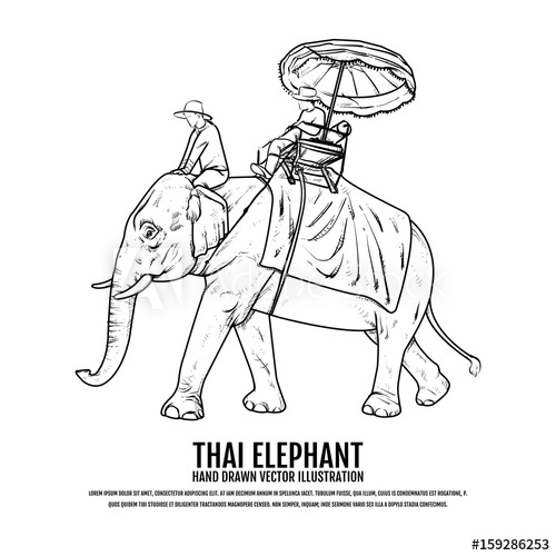500x500 thai elephant elephant hand drawn vector illustration travel - Thai Elephant Drawing