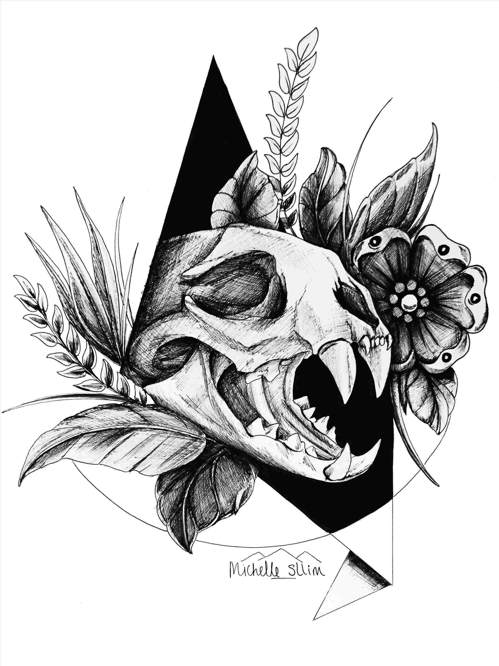 1899x2533 skull sketches pics - Thanks Drawing