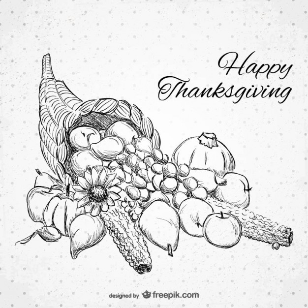626x626 Happy Thanksgiving Drawing Vector Free Download - Thanksgiving Drawing Pictures