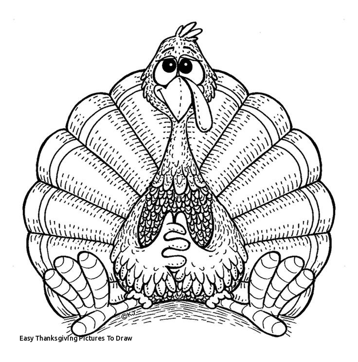 736x745 Easy Thanksgiving Pictures To Draw Best Drawings Images - Thanksgiving Drawings