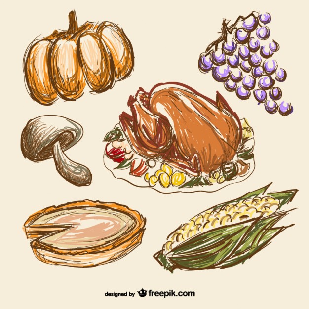 626x626 Thanksgiving Food Drawings Vector Free Download - Thanksgiving Drawings