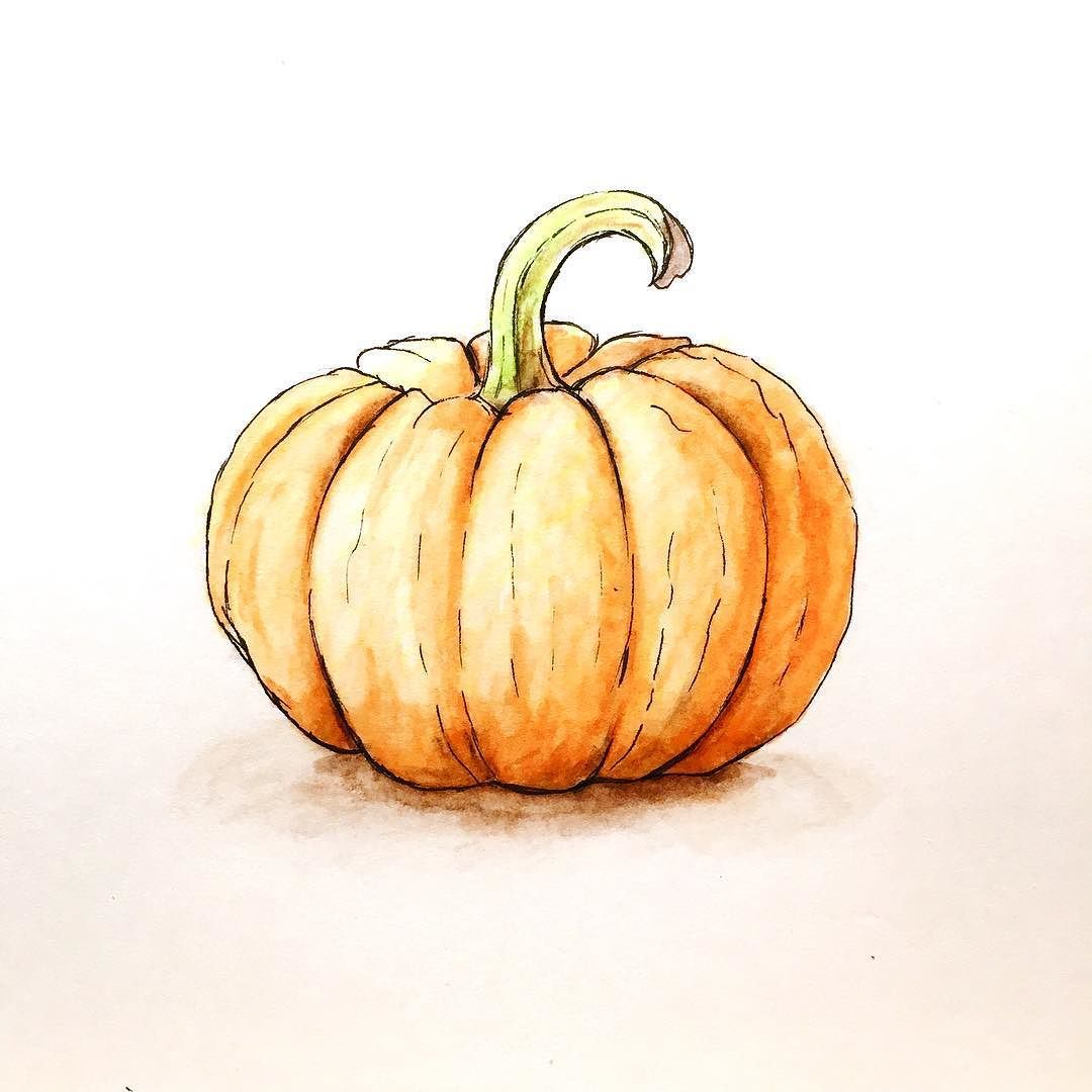 1080x1080 Pumpkin Drawing Thanksgiving In Drawings, Pumpkin - Thanksgiving Drawings