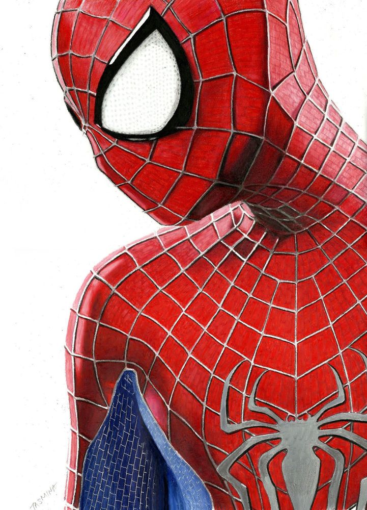 721x1000 The Amazing Spider Man Colored Pencil Drawing - The Amazing Spider Man 2 Drawing