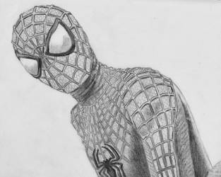 313x250 The Amazing Spider Man Drawing - The Amazing Spider Man Drawing