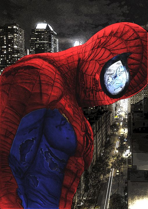 509x720 The Amazing Spider Man - The Amazing Spider Man Drawing