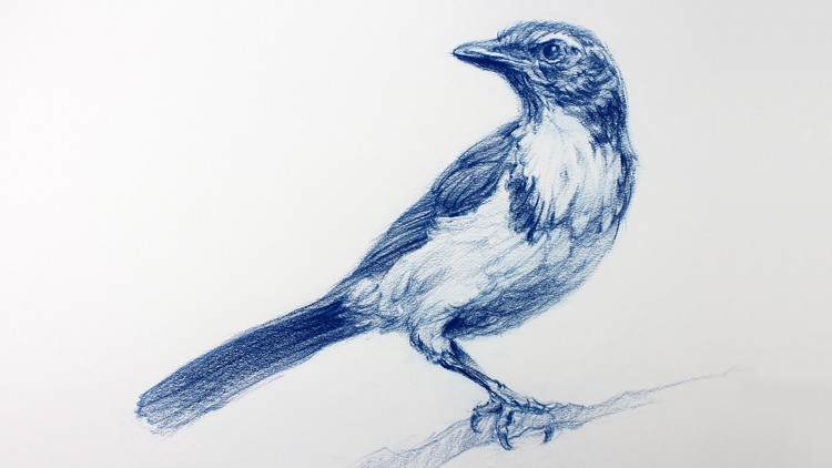 750x422 The Art Science Of Drawing Basic Skills Udemy - The Art Of Drawing