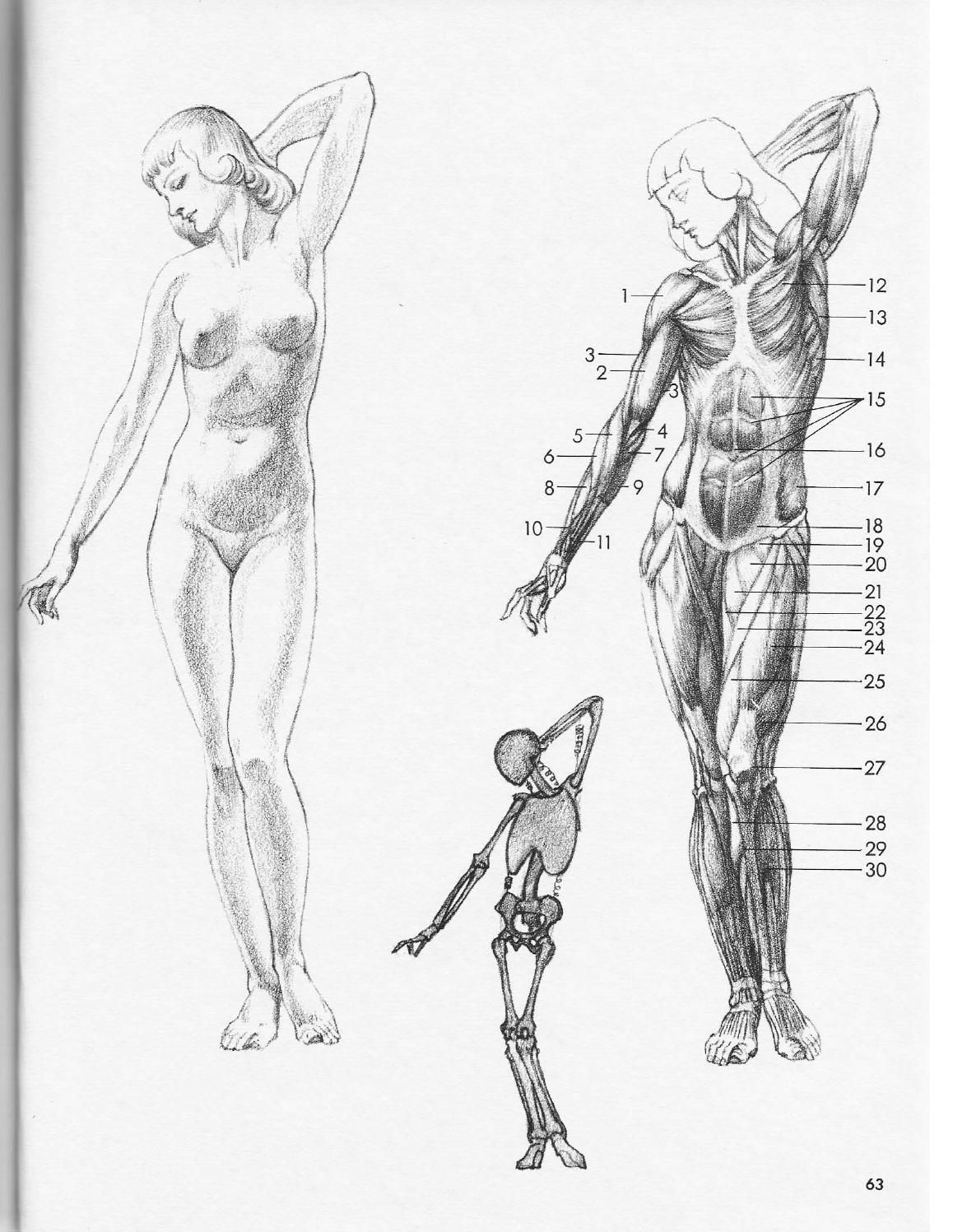 1158x1497 the art of drawing willy pogany - The Art Of Drawing