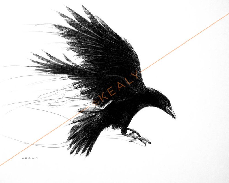 794x635 crow drawing print black and white etsy - The Crow Drawing