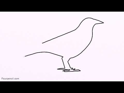 480x360 how to draw crow easy drawing for kids step - The Crow Drawing