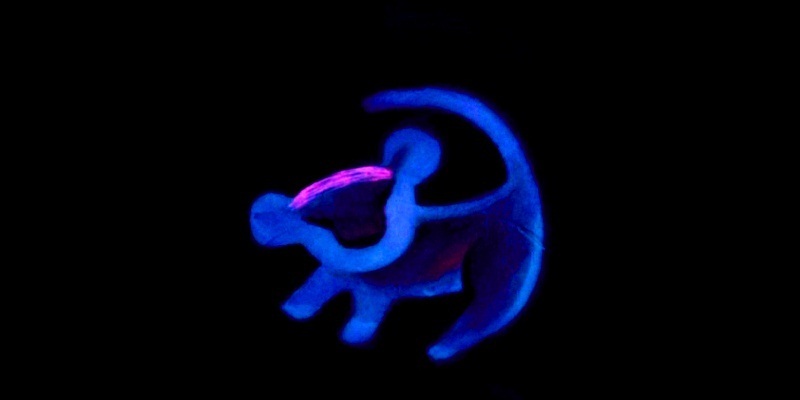 800x400 The Lion King Images Simba - The Lion King Simba Drawing