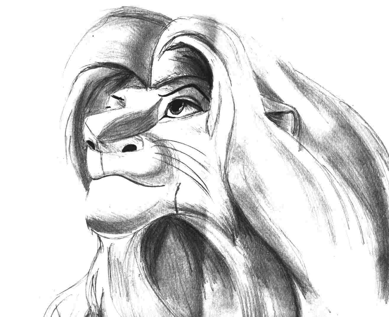 The Lion King Simba Drawing at PaintingValley.com | Explore collection ...