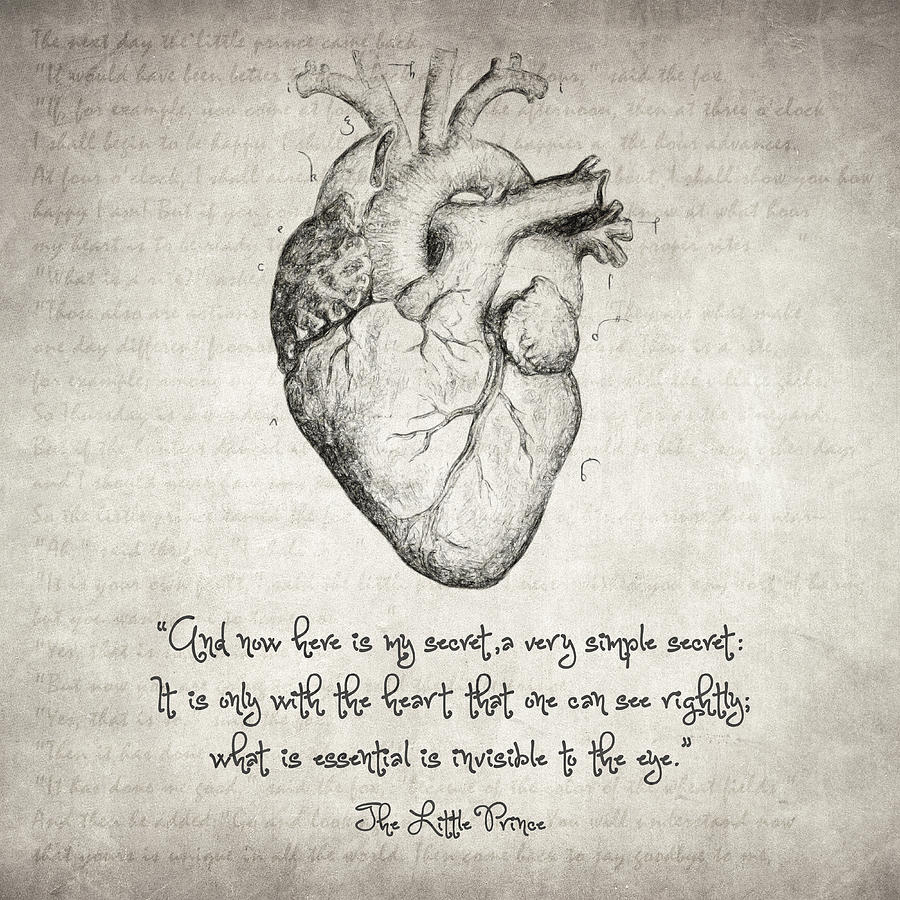900x900 The Little Prince Quote Drawing - The Little Prince Drawing