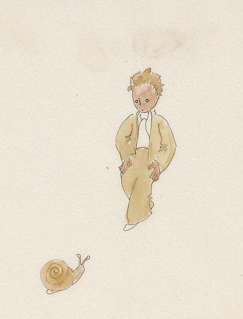 500x656 Antoine De Saint Original Watercolors For Little - The Little Prince Drawing