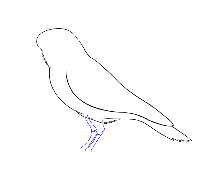 678x600 How To Draw A Raven Step - The Raven Drawing