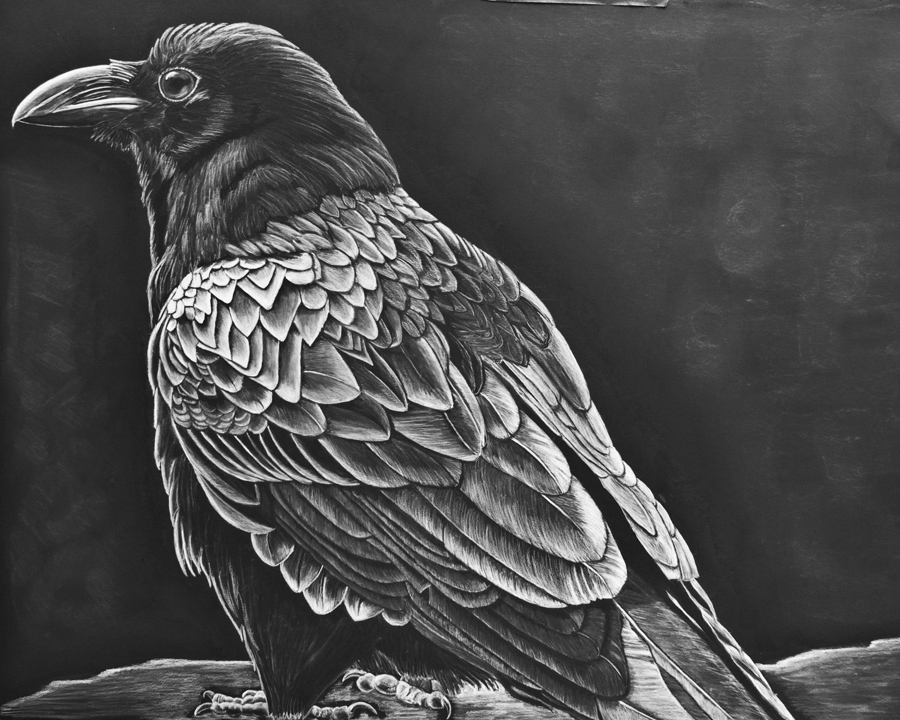 900x720 raven wip step away from the drawing!!!! arlenepowers - The Raven Drawing