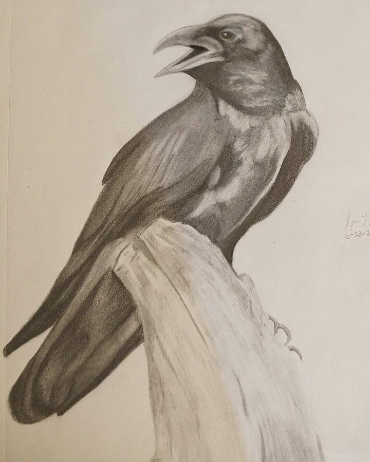 720x900 The Raven Drawing - The Raven Drawing