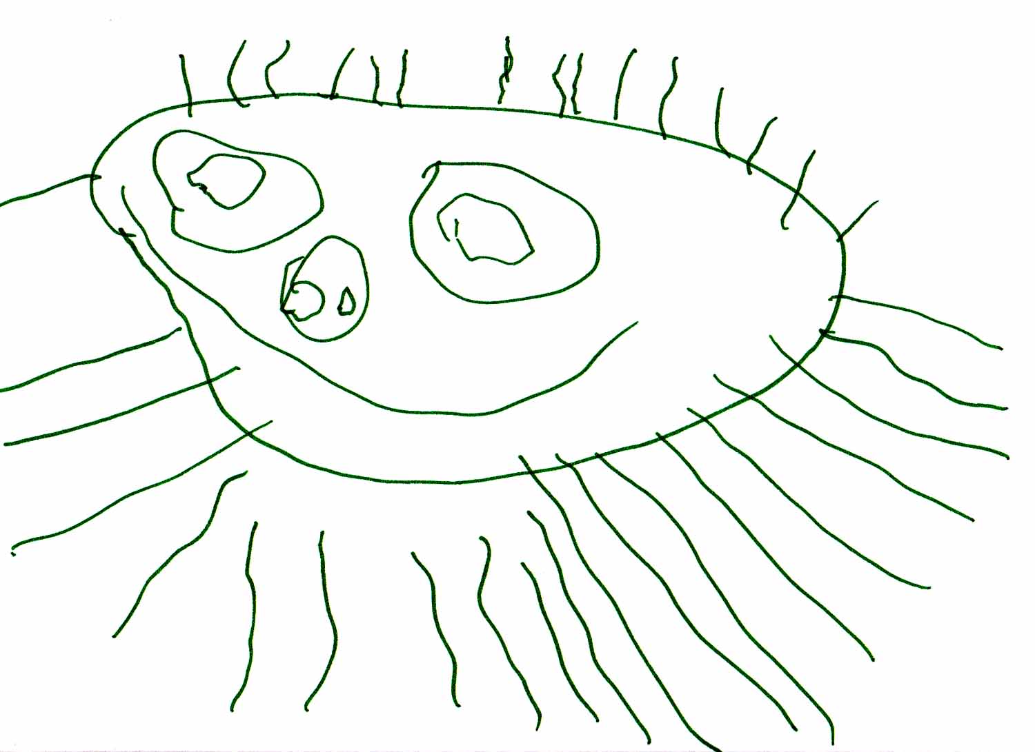 1500x1091 Child Drawing Of Sun Create A Way! - The Sun Drawing