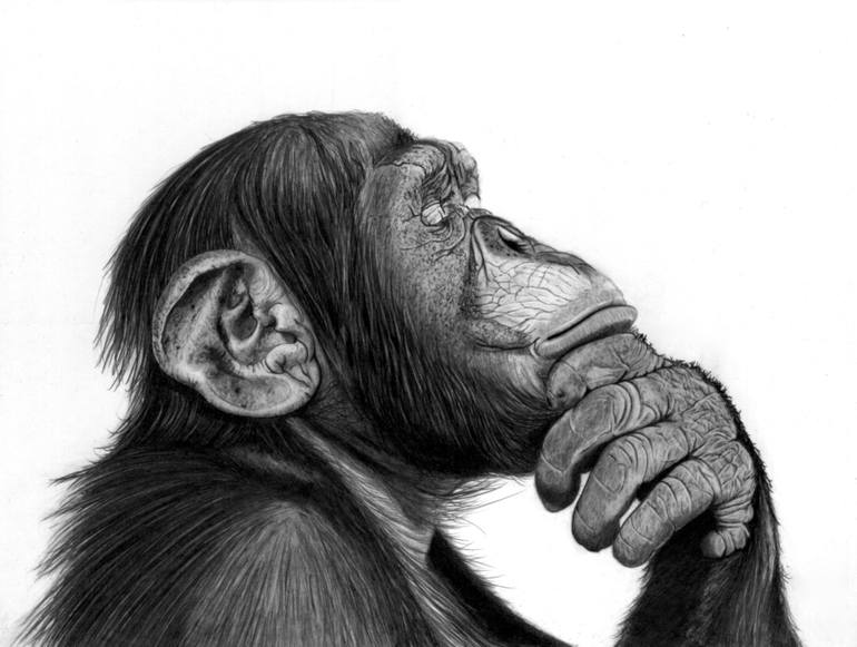 The Thinker Drawing at Explore collection of The
