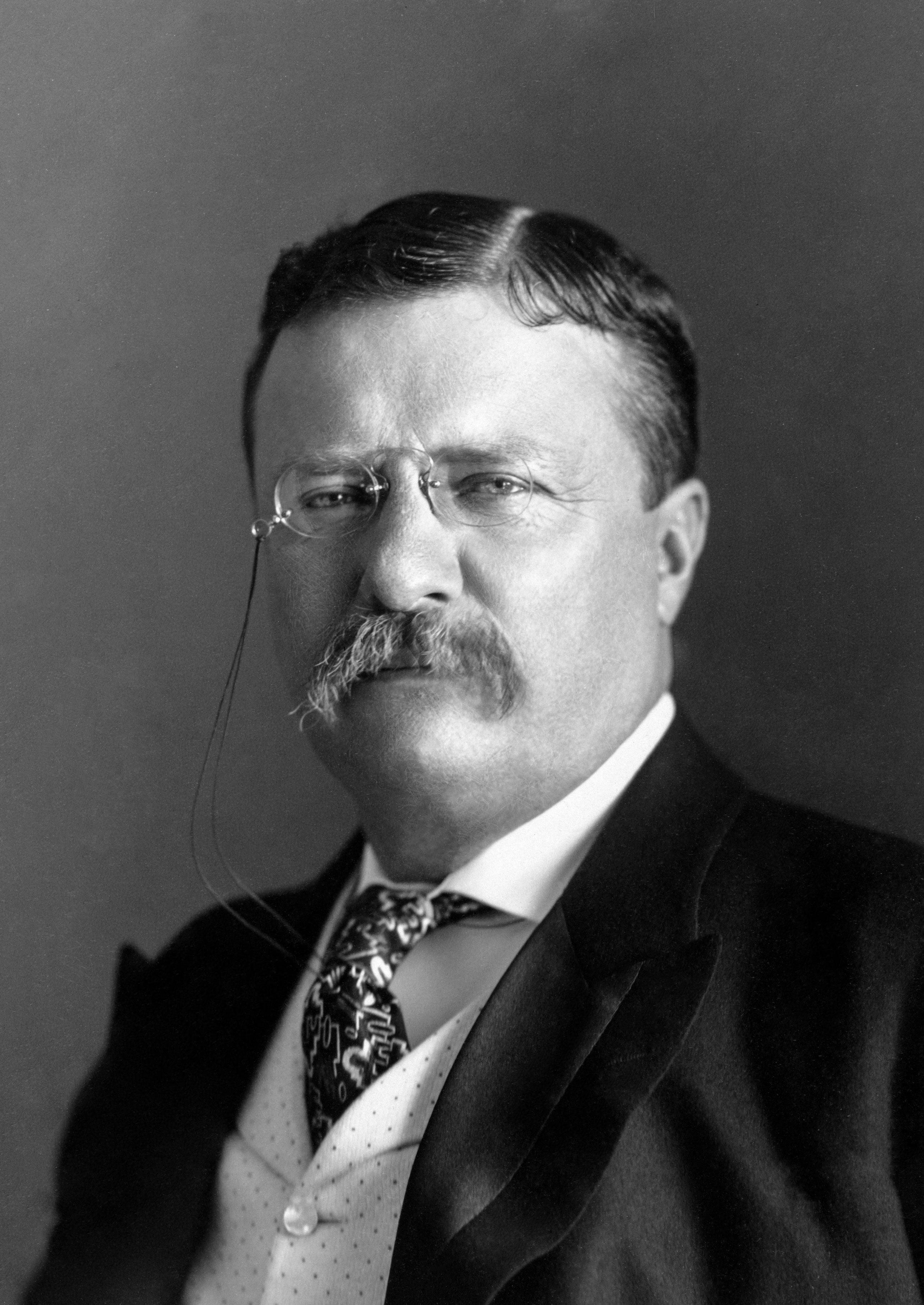 2573x3633 Theodore Roosevelt - Theodore Roosevelt Drawing