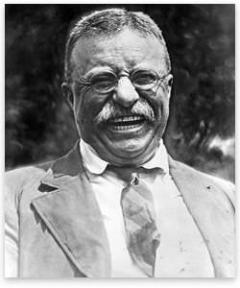 240x288 theodore roosevelt and the modern presidency mises institute - Theodore Roosevelt Drawing