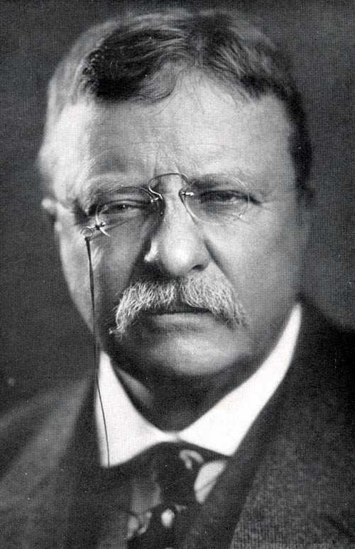 500x774 Theodore Roosevelt - Theodore Roosevelt Drawing