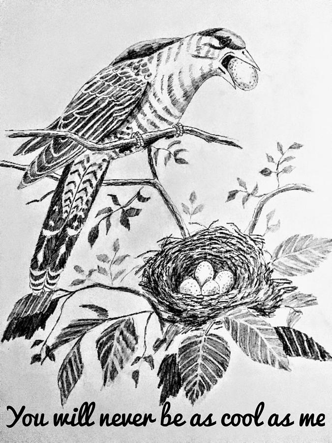 675x900 Egg Thief Drawing - Thief Drawing