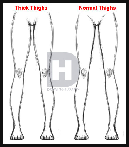 440x503 how to draw legs, step - Thigh Drawing