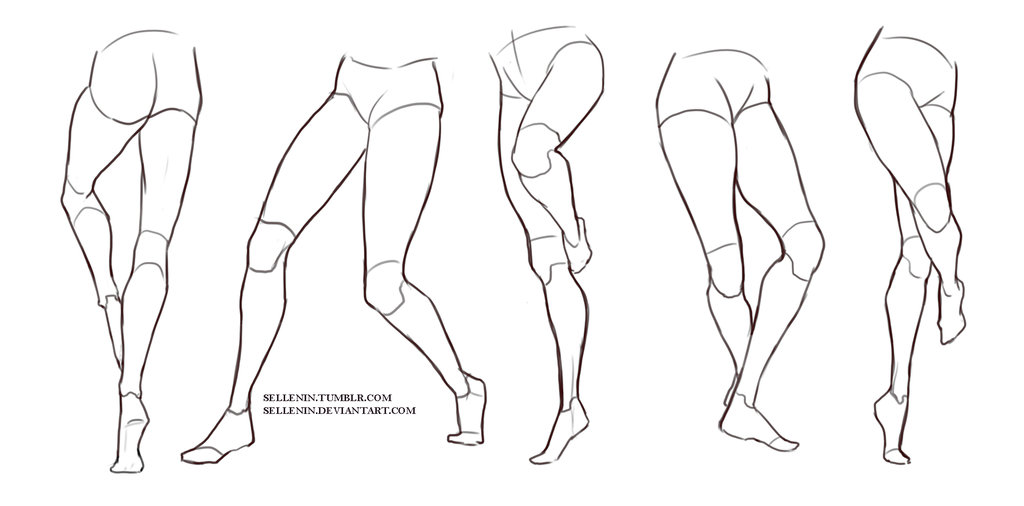 1024x506 drawing legs male leg for free download - Thigh Drawing